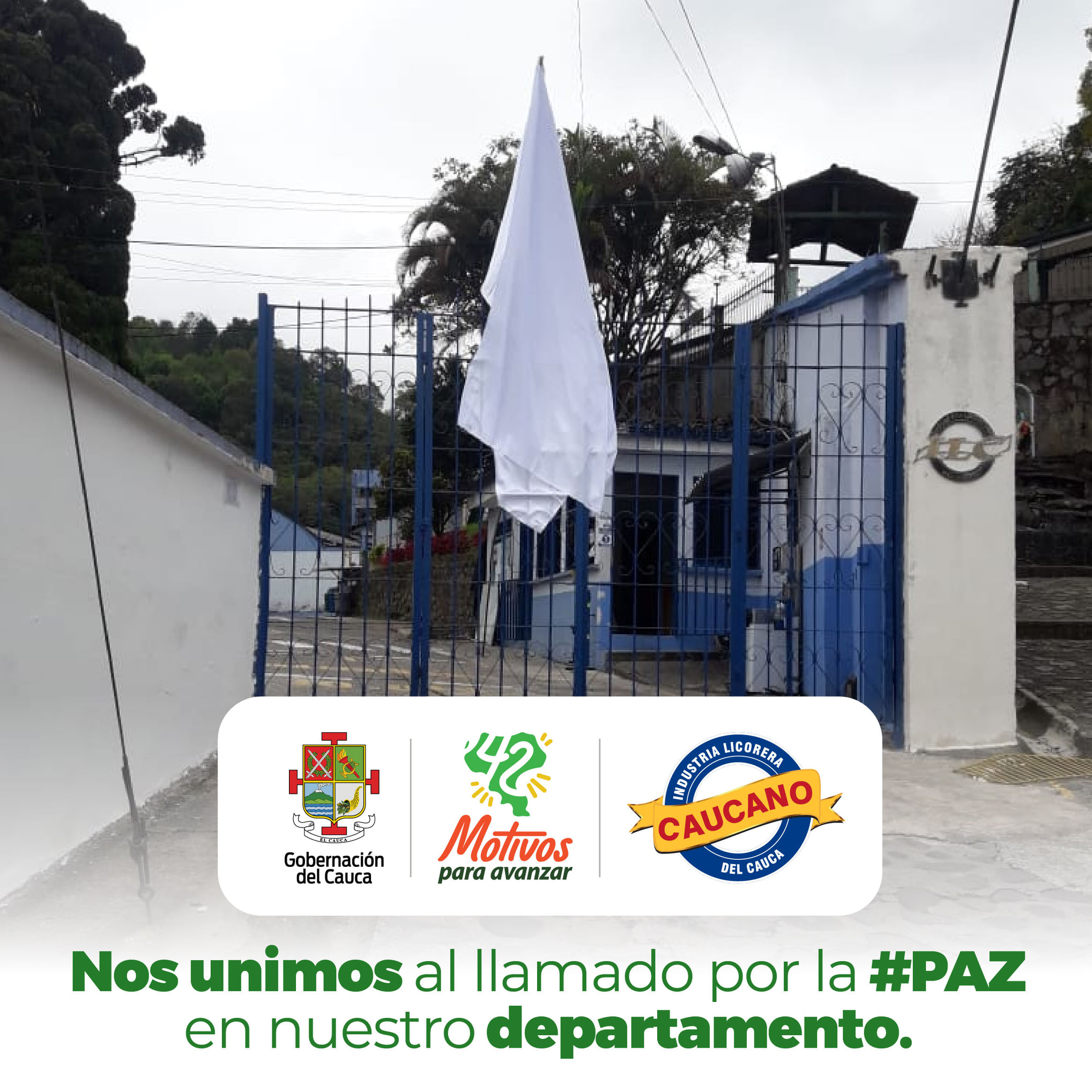                                              IZAMOS LA BANDERA POR LA PAZ Y EN DEFENSA DE LA VIDA
                                            