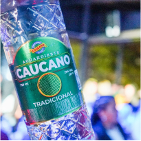 Escarchados